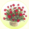 Love at First Sight - Click here to View more details about this Product
